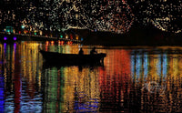 Lights of Life