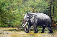 Green behind Tusks