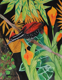 A Woodpecker's Woes