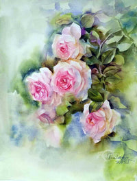 Dew on Petals