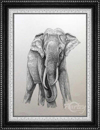 A Tusker
