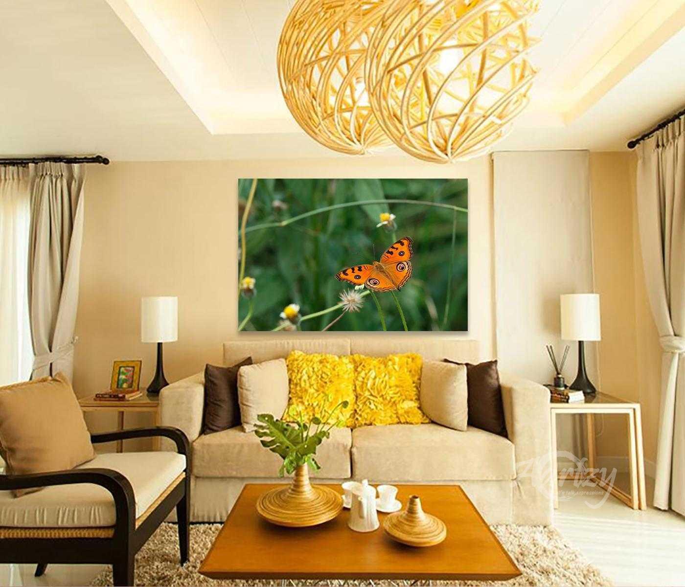 Wings Were Meant to Fly