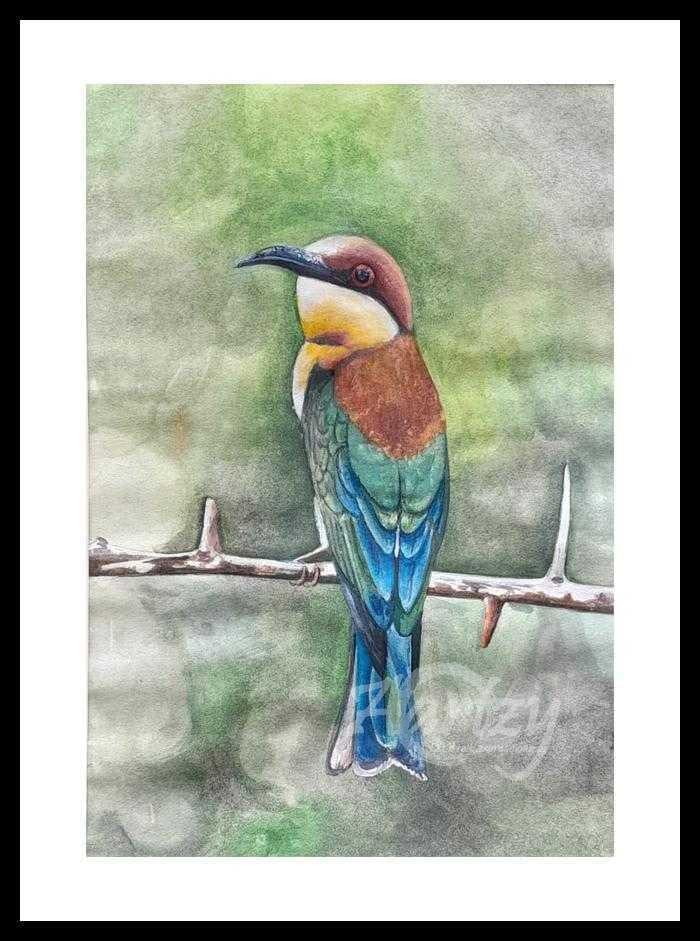 Bee-Eater Beauty