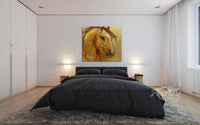 Stallion's Aspect