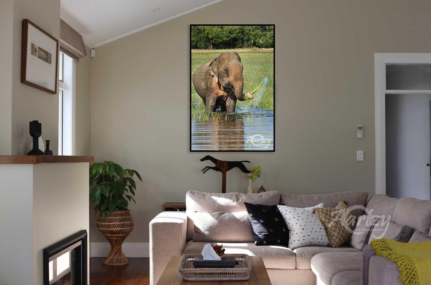 As the Watergrass Swish