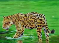 Jungle Waters