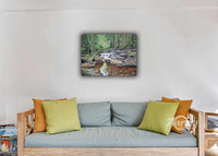 Peaceful Woodland