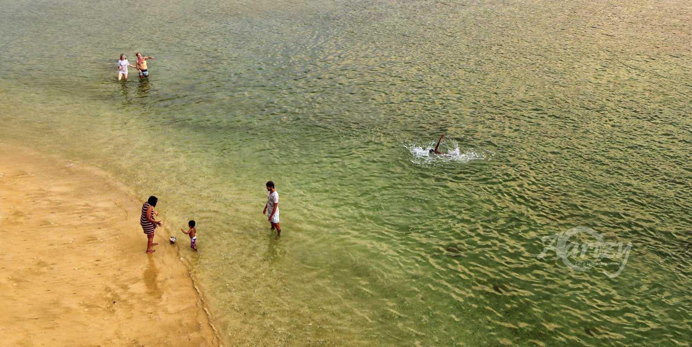 A Fun Day at the Beach