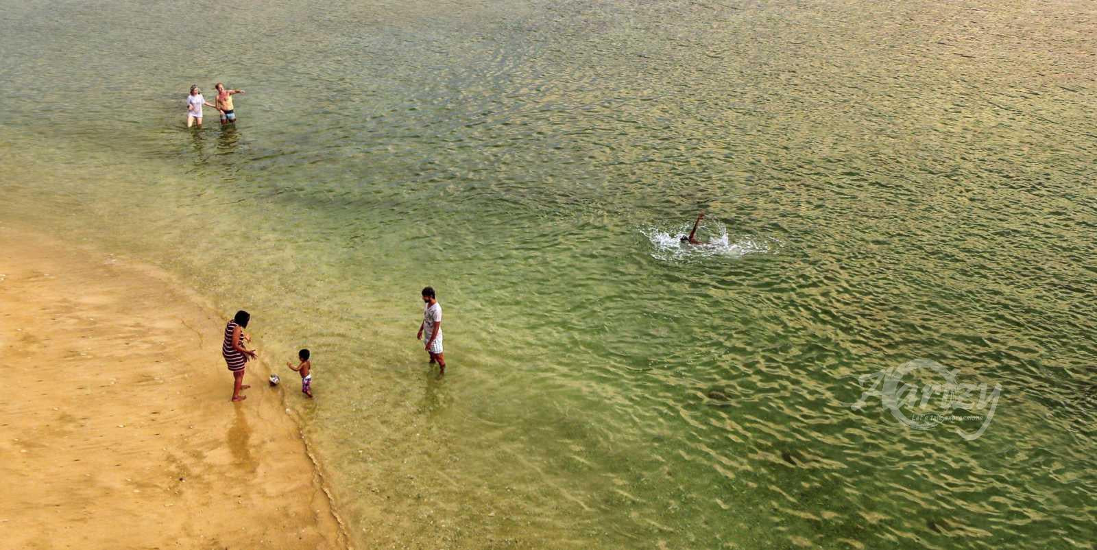 A Fun Day at the Beach