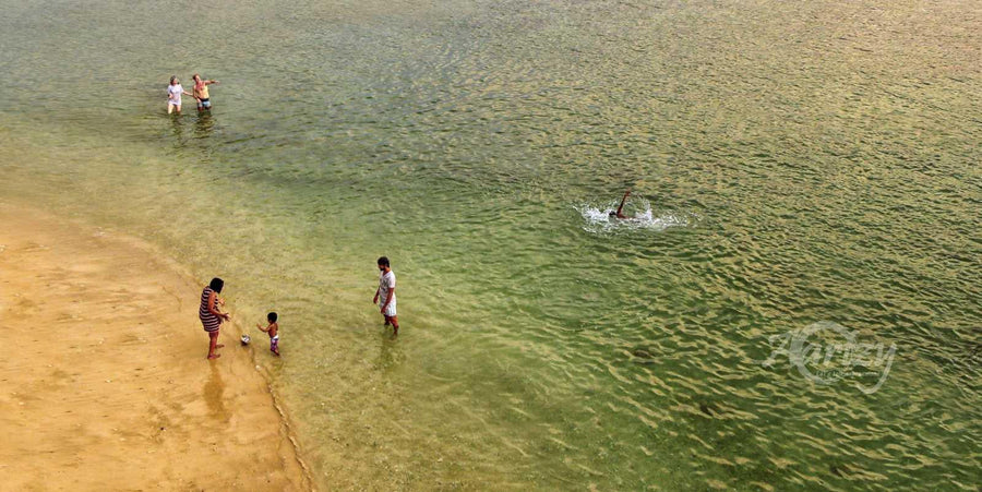 A Fun Day at the Beach
