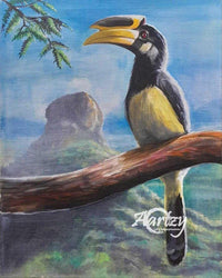 Regal Hornbill