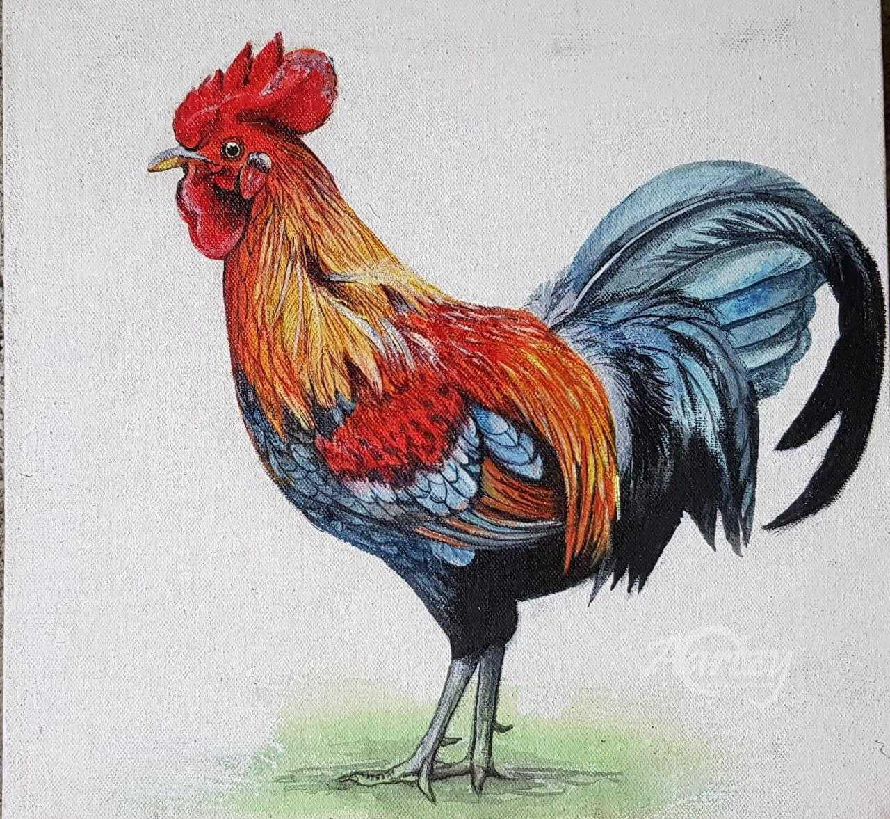 Radiant Rooster