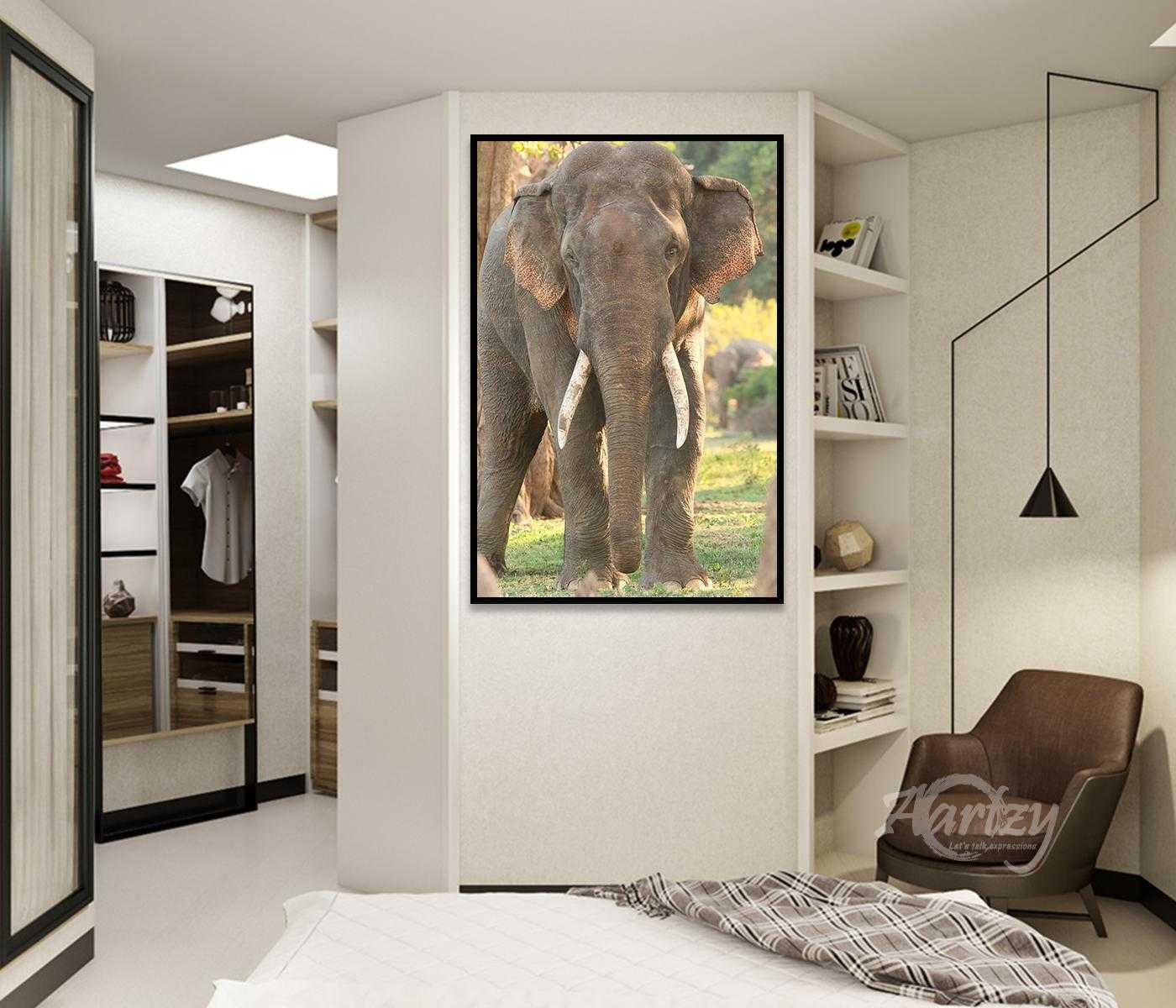 The Gray of An Elephant