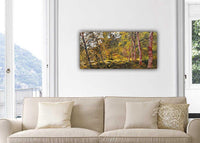 Forest's Golden Glow