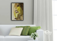 Way of Life - Knowledge Gain