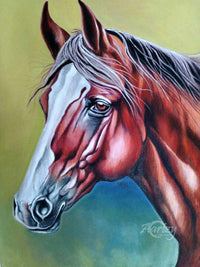 Horse of Tranquil Splendor