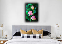 Pink Lotus