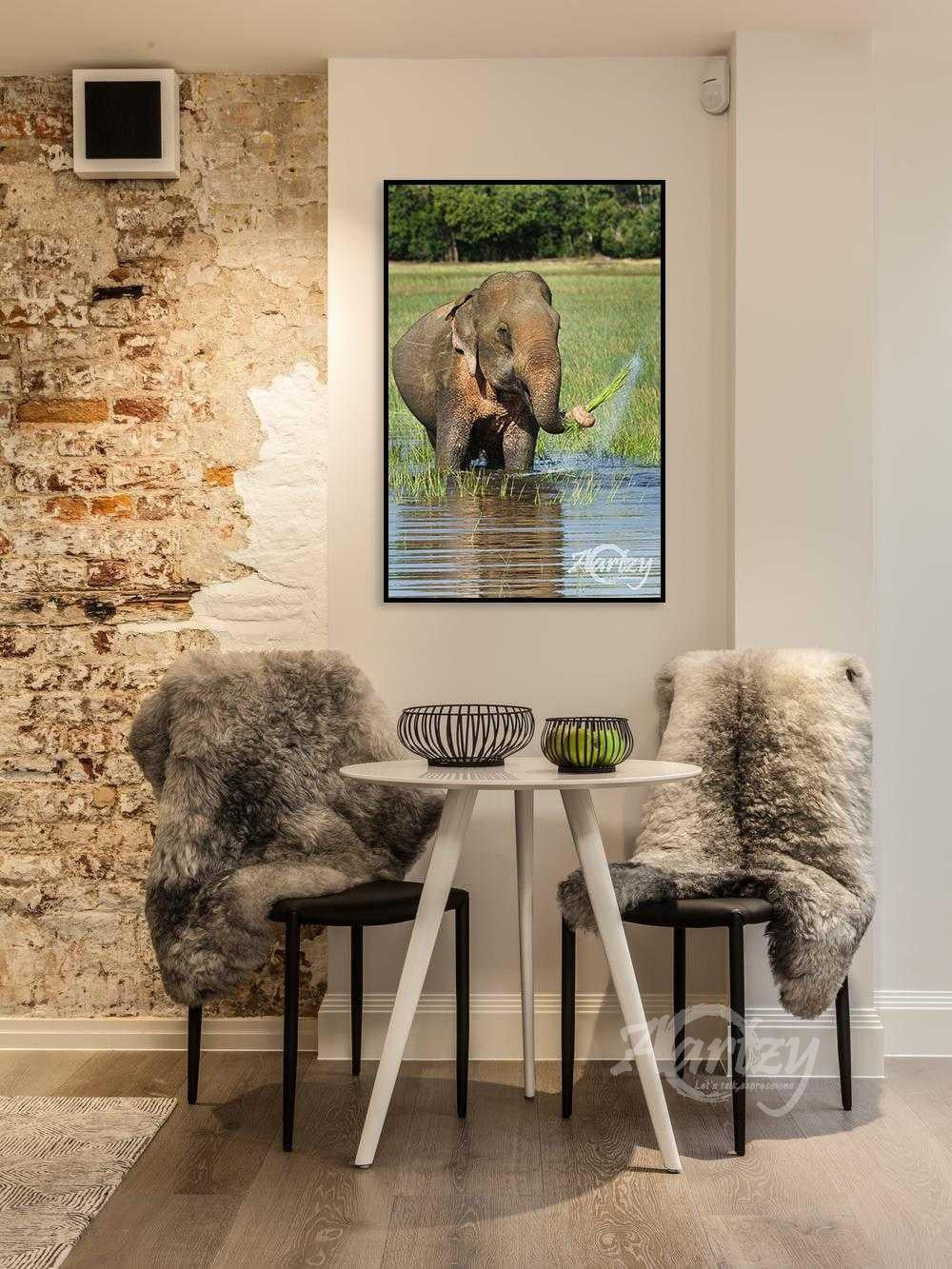 As the Watergrass Swish