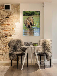 As the Watergrass Swish