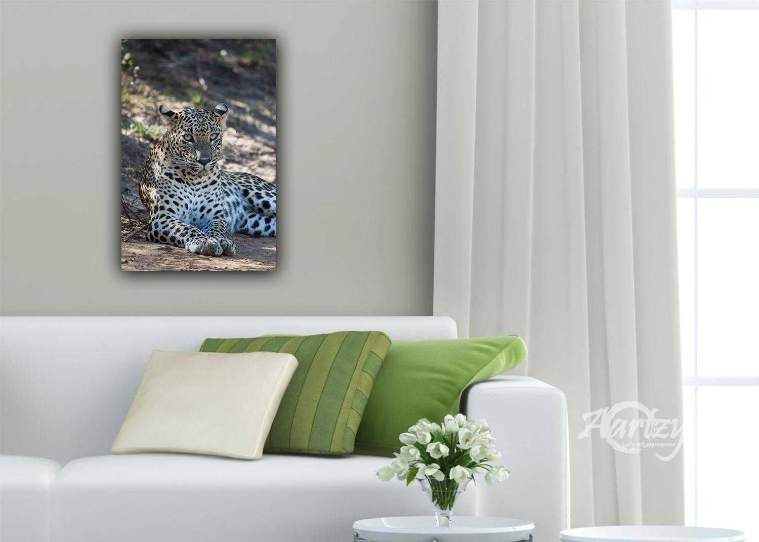 What You Looking At?