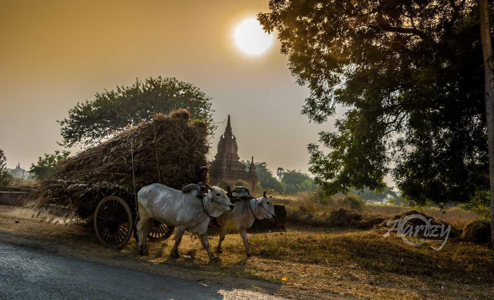 The Labor of Man and Beast