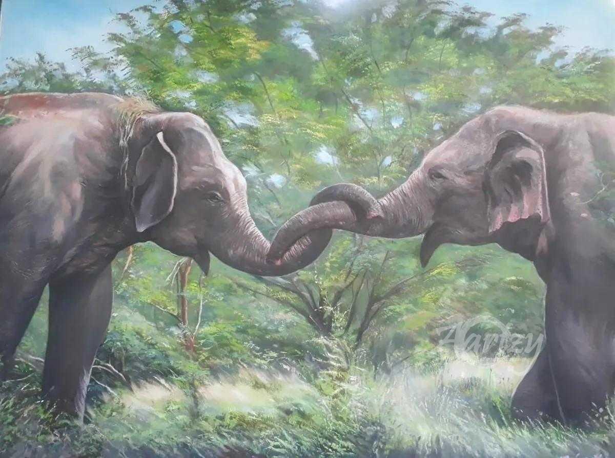 Embrace of the Elephants