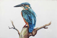 Feathered Forager