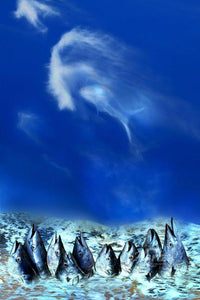 Lord over the Seas