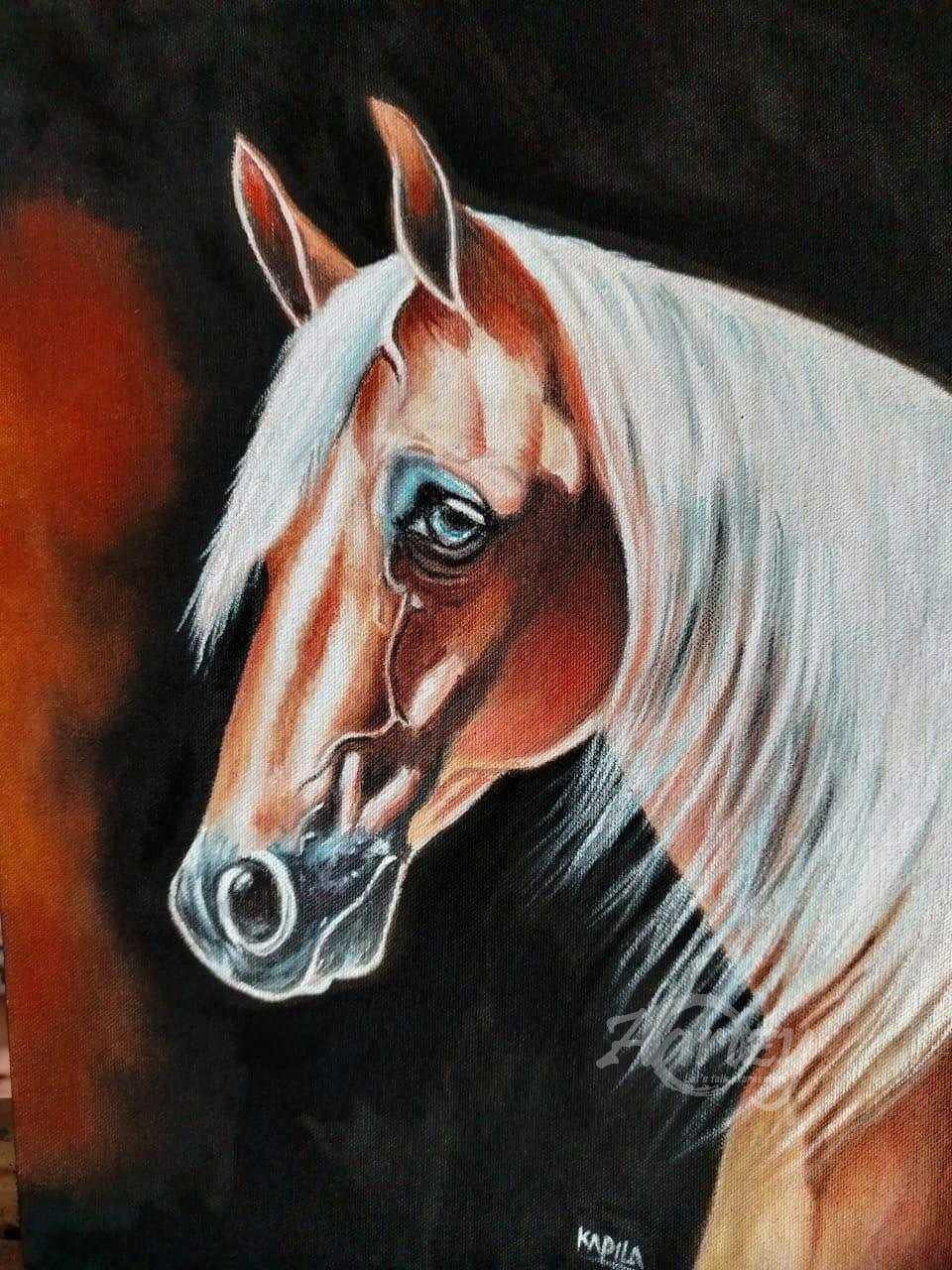 Timeless Beauty of the Stallion