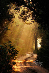 The Golden Pathway