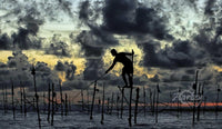 Life on Stilts