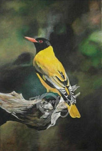Black Bird, Fly