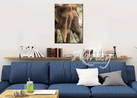 Rising from the Dust