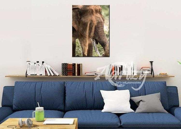 Rising from the Dust