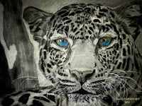 Blue Eyes