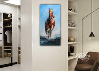 A Beautiful Stallion