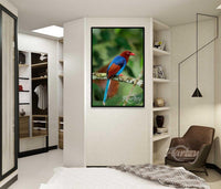 A Magpie's Tale