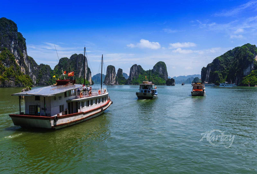 Journey to a Lost World