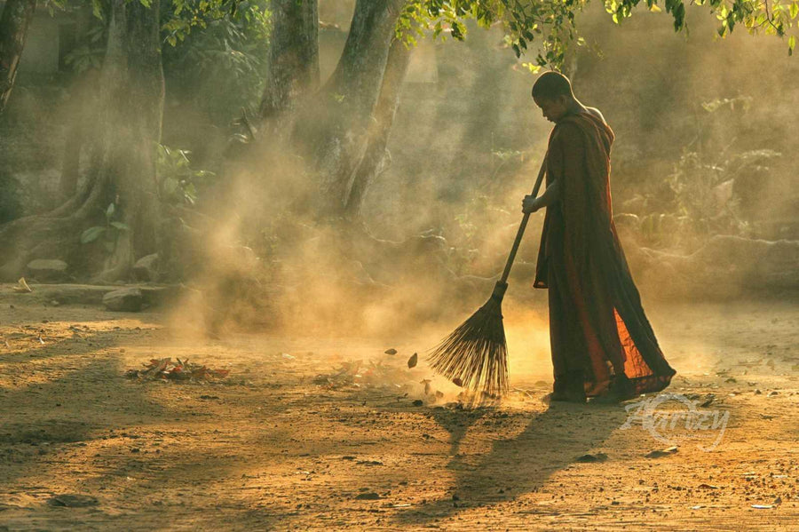 Sweeping Life's Chaos