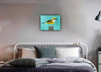 Yellow Feathered