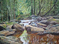Peaceful Woodland
