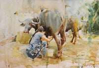 Village Hospitality