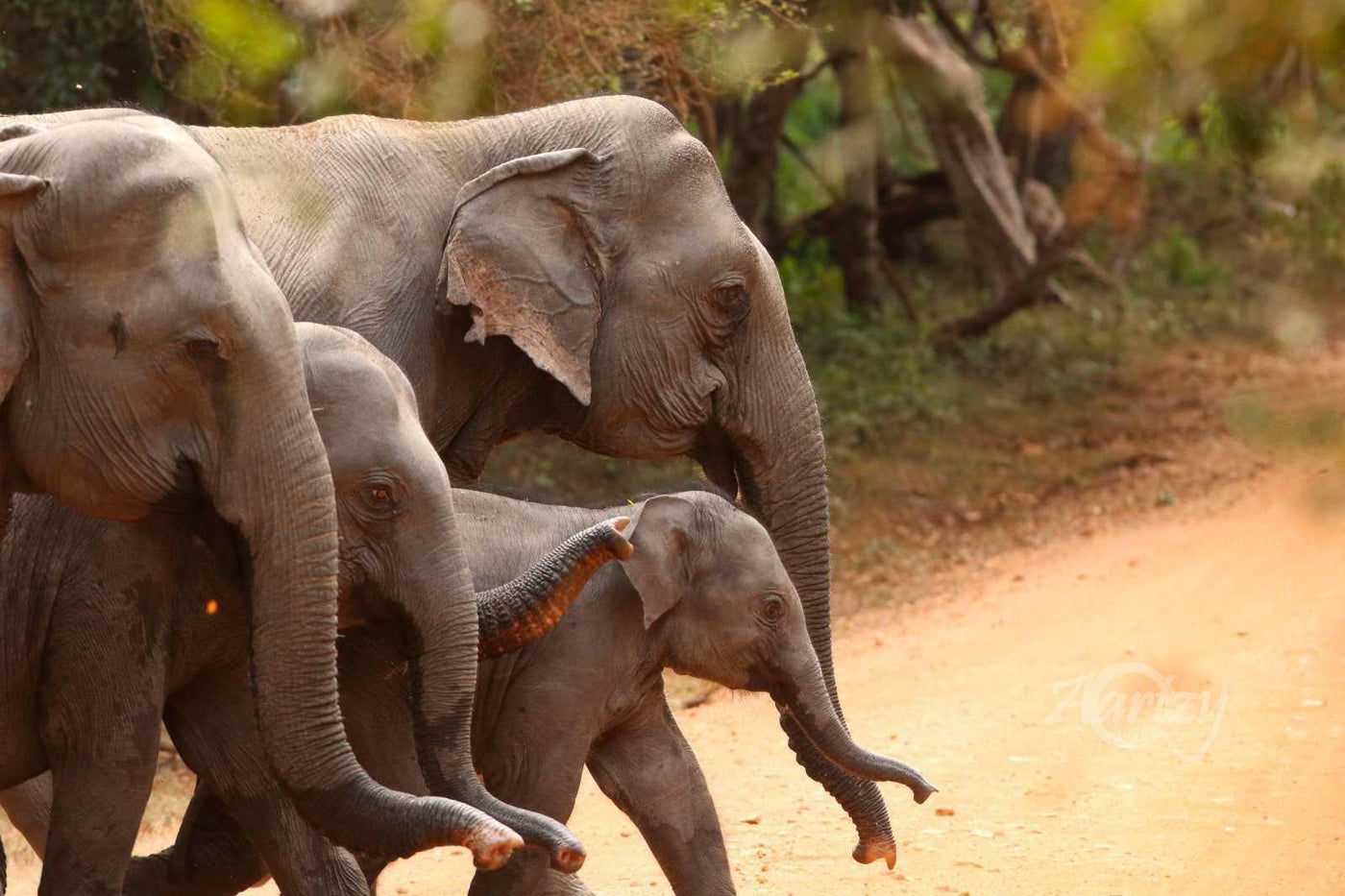 Family Sticks Together