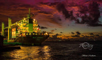 The Mighty Mariner