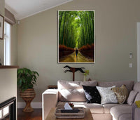 A walk among the Giants