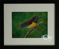 Feathered Serenity