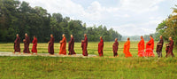 Walking Meditation