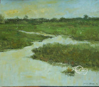Barren Fields