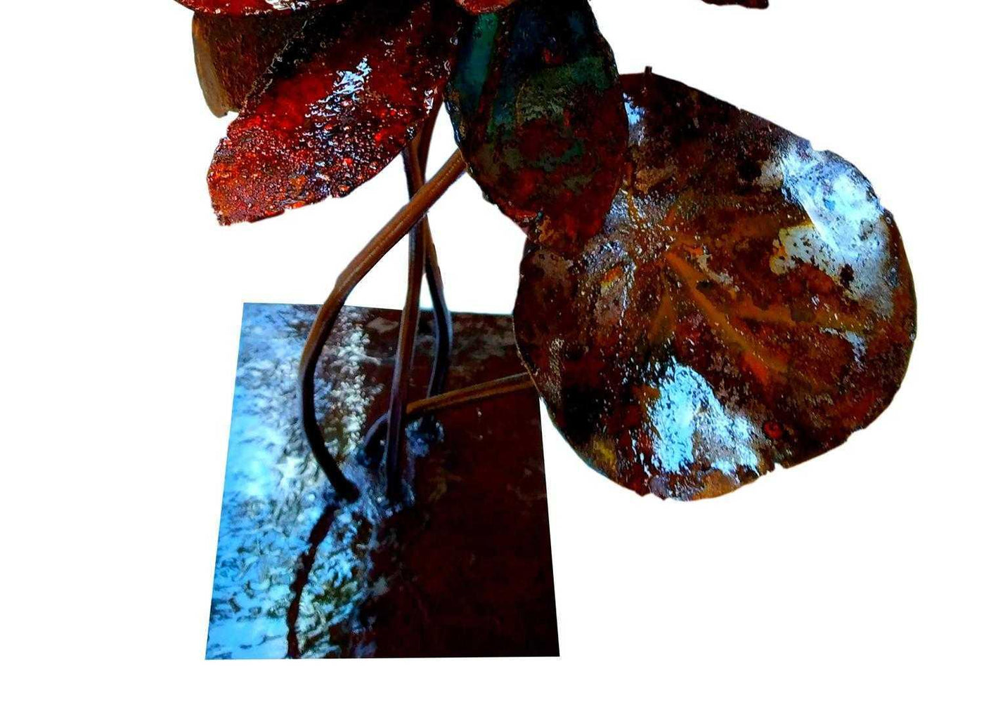 The Red Lotus in Bloom