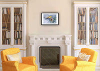 The Affection of Birds